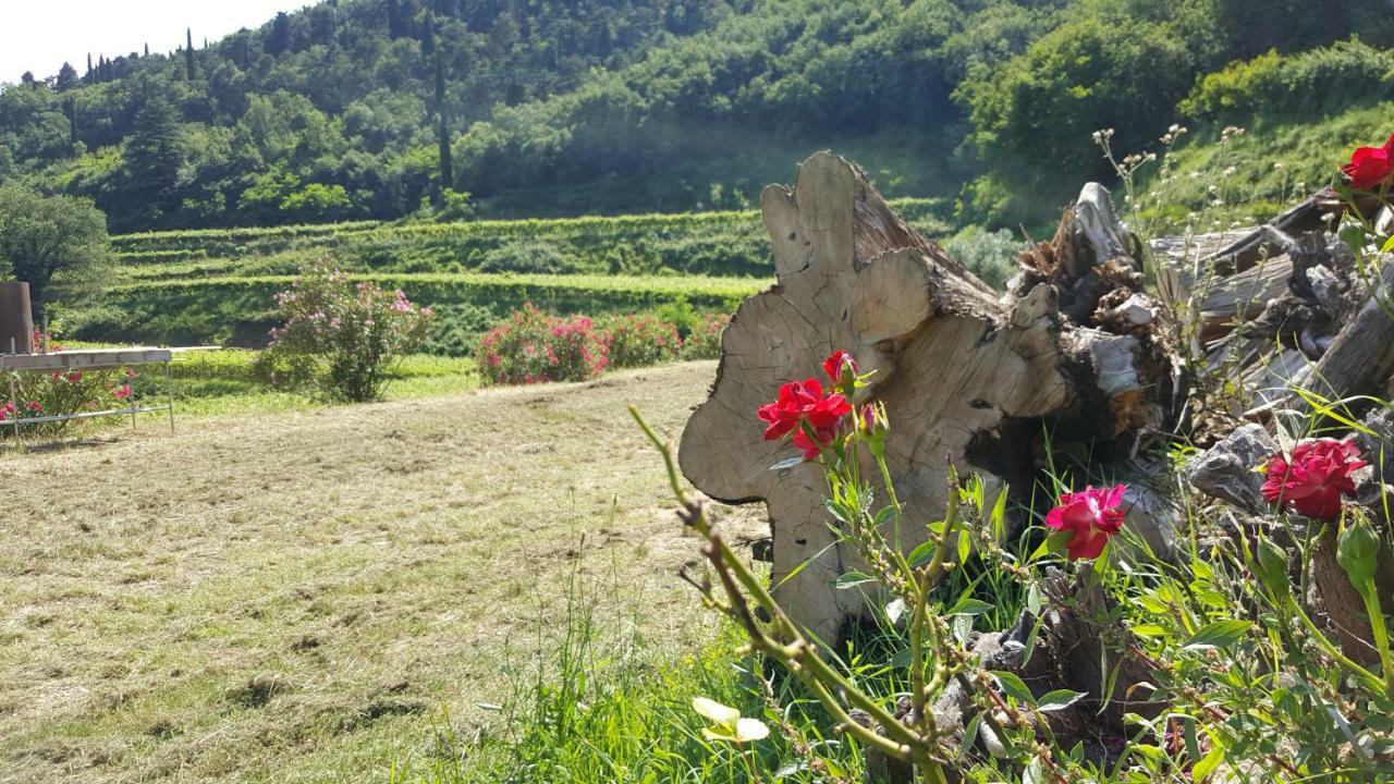 Apartmán La Casetta Di Chiara Fumane Exteriér fotografie